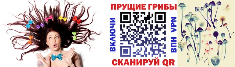 Псилоцибиновые грибы Psilocybe  Купить  Апрелевка 